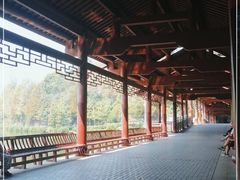 -重庆彩云湖湿地公园