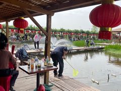 -同銮特种养殖场·龙虾垂钓
