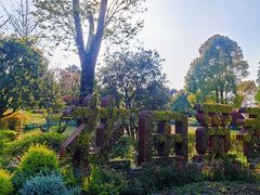 -铁山坪森林公园