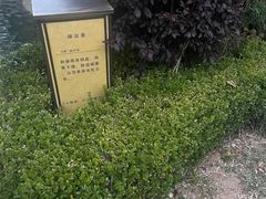 -大连金石滩绿发温泉假日酒店