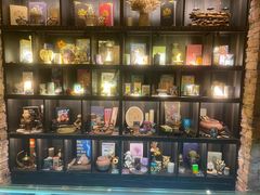 -雪灵魔法世界SHELLY’S TAROT(大良桂畔里店)