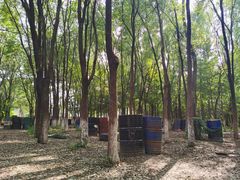 -亲兄弟真人CS团建拓展基地