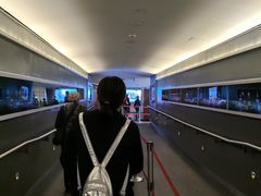 -加拿大国家电视塔