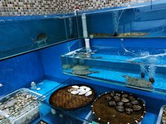 水产区-港畔赶海蒸汽海鲜烧烤自助(仙螺岛店)