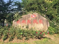-鹅湖玫瑰文化园