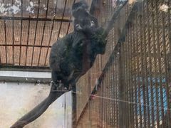 -昆明动物园