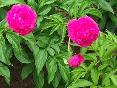 -长春公园(普阳街道)