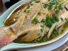 清蒸彩云鲷-聂记粤菜馆(鼓西路店)
