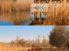-张家湾公园