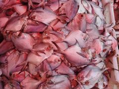 -芦潮港集贸市场