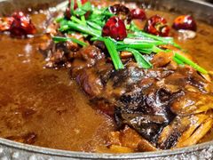 -宝轩渔府·老字号海鲜·正宗津菜(水上店)