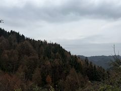 -山王坪喀斯特国家生态公园