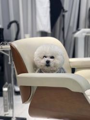-NEW FACE烫染专业店