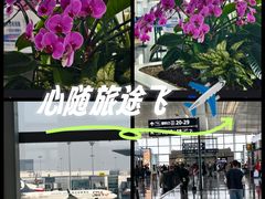 -青岛胶东国际机场