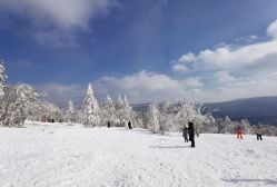 -大秃顶子山(雪谷店)