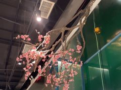 -老板恋上鱼(振华商厦店)