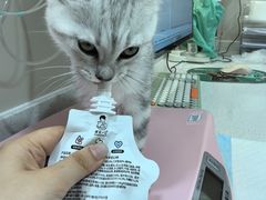 -御宝贝24h宠物医院·转诊中心·CT核磁血透中心(厦门总院)