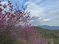 -天台山赤城山景区
