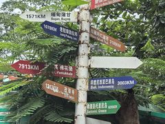 -三亚亚龙湾人间天堂鸟巢度假村
