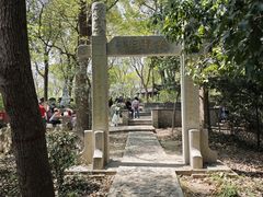 -上海佘山国家森林公园天马山园