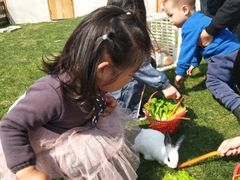 -前小桔亲子创意农场·草莓采摘·露营烧烤