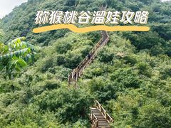 -大岭沟猕猴桃谷风景区