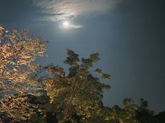 -龙潭生态旅游度假区