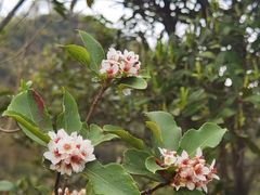 -羚羊峡古栈道森林公园