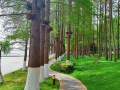 -东湖生态旅游风景区