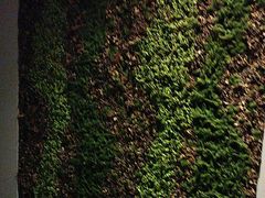 -上足·影院足道·SPA(红岭店)