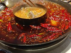 -蛙鱼潭美蛙鱼头火锅(解放碑瑞富广场店)