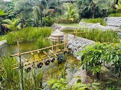 -新加坡飞禽公园