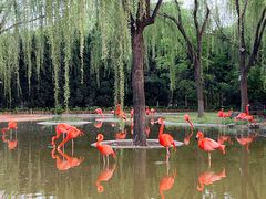 -石家庄市动物园