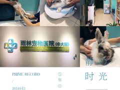 -雨林宠物医院 非犬猫异宠专科