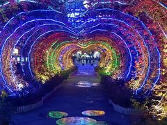 -三亚海昌梦幻海洋不夜城