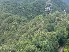 -杭州半山国家森林公园