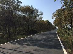 -青龙山国家森林公园