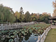 -水绘园