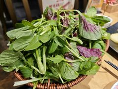 -老凯俚酸汤鱼(多彩城店)