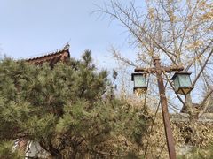 -隆福寺