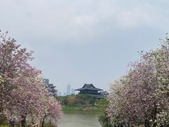 -海珠湖公园