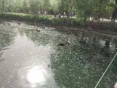 -长白岛森林公园