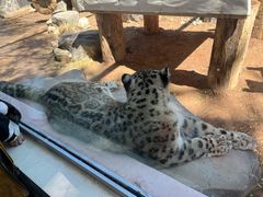 -青藏高原野生动物园