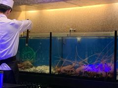 水产区-将军日本餐厅·Shogun(厦门马哥孛罗东方大酒店)