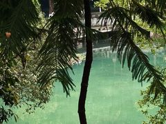 -忠山公园