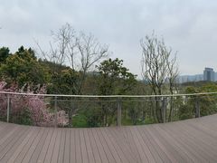 -苏州清山会议中心