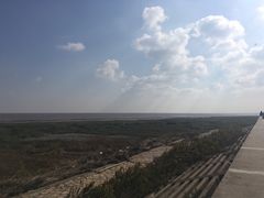 -南汇嘴观海公园