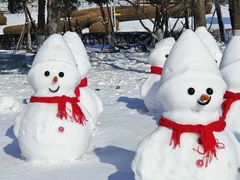-沈阳奥体冰雪嘉年华