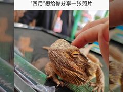 -万达广场(巴南店)