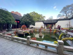 -上海醉白池公园